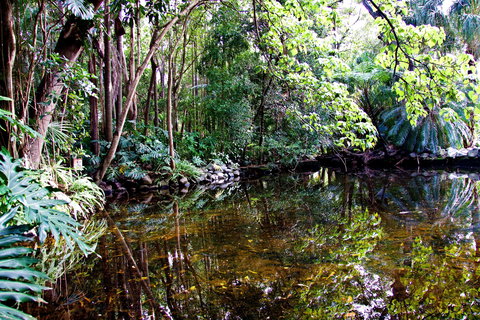 Cascade Gardens - SA Accommodation 2