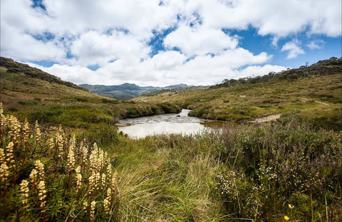 Cascade Hut Trail - SA Accommodation 0