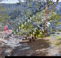 Caves circuit Lamington National Park - SA Accommodation