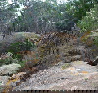 Dergholm State Park - SA Accommodation