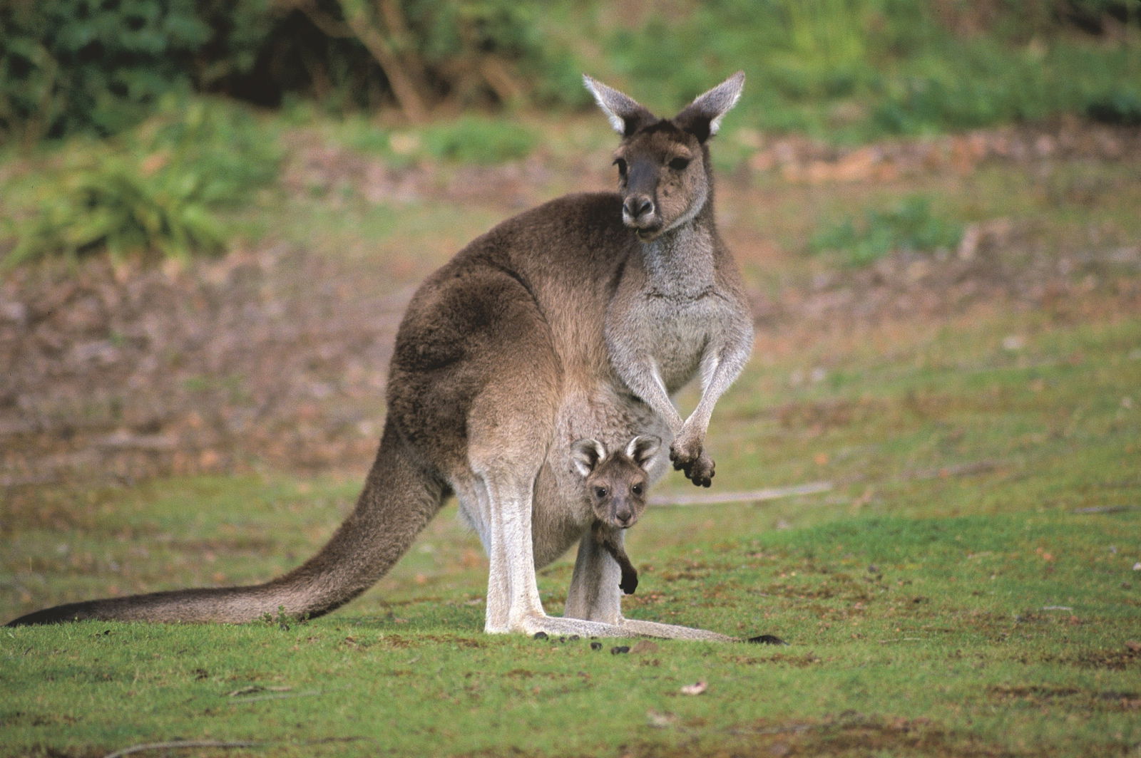 Donnelly River WA SA Accommodation