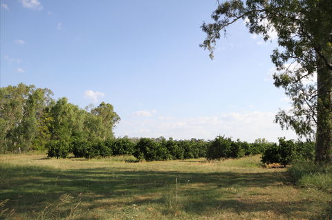 Dululu - SA Accommodation 1