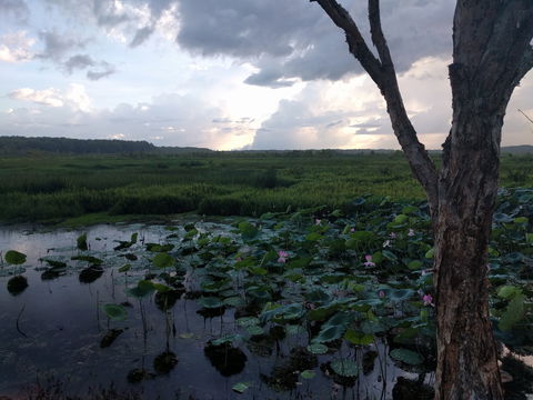 Fogg Dam Conservation Reserve - SA Accommodation 0