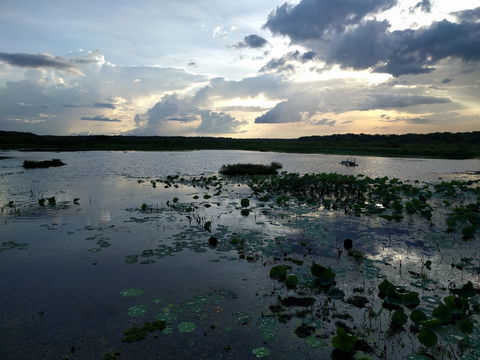Fogg Dam Conservation Reserve - SA Accommodation 1