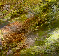 Girrakool loop track - SA Accommodation