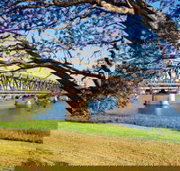 Grafton 'Bendy' Bridge - SA Accommodation