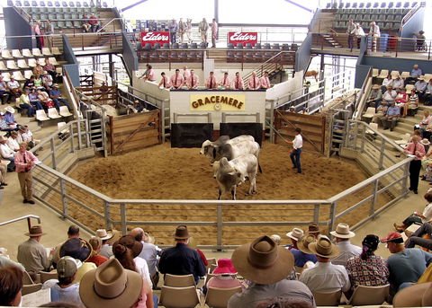 Gracemere Exhibition Complex - SA Accommodation 1