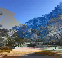 Grenfell Endemic Garden - SA Accommodation