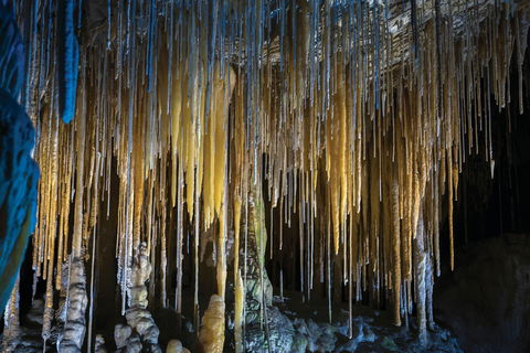 Hastings Caves And Thermal Springs - SA Accommodation 0