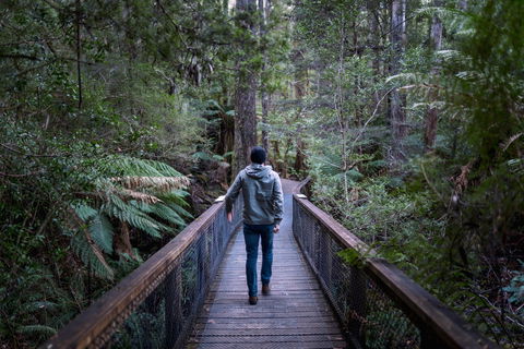 Hastings Caves And Thermal Springs - SA Accommodation 1