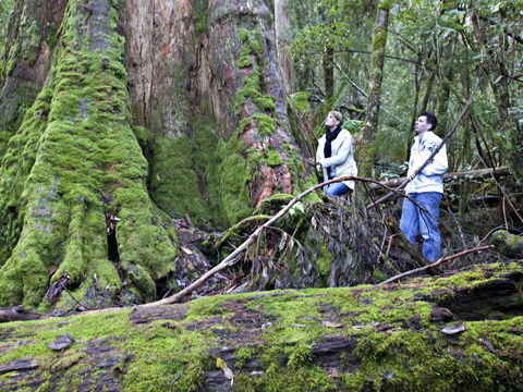 Hastings Caves And Thermal Springs - SA Accommodation 2