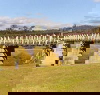Historic Tabulam DeBurgh Timber Bridge - SA Accommodation