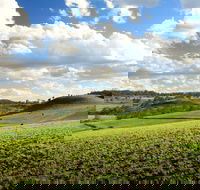 Hodgson Vale - SA Accommodation