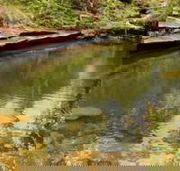 Hominy Creek Walking Track - SA Accommodation