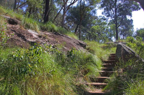 Ingleburn Reserve - SA Accommodation 2