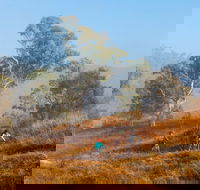 Kambah Pool to Pine Island Walking Trail - SA Accommodation