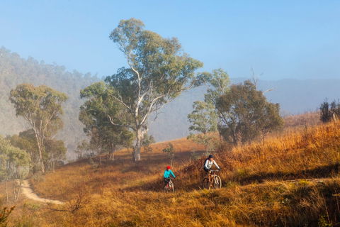 Kambah Pool To Pine Island Walking Trail - SA Accommodation 0