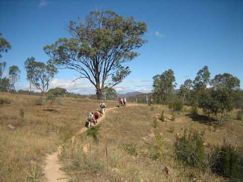 Kambah Pool To Pine Island Walking Trail - SA Accommodation 1