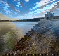 Lake Innes Nature Reserve - SA Accommodation