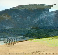 Langi Ghiran State Park - SA Accommodation