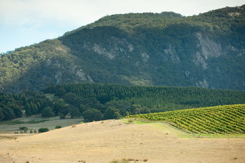 Langi Ghiran State Park - SA Accommodation 0