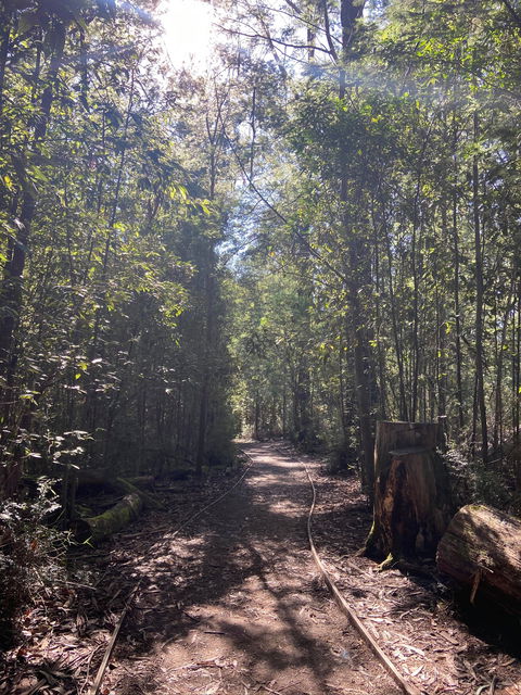 Lyrebird Circuit Walk - SA Accommodation 2