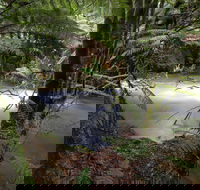 Marriotts Falls and Junee Caves - SA Accommodation