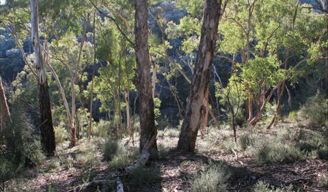Mount Gray Walking Track - SA Accommodation 0