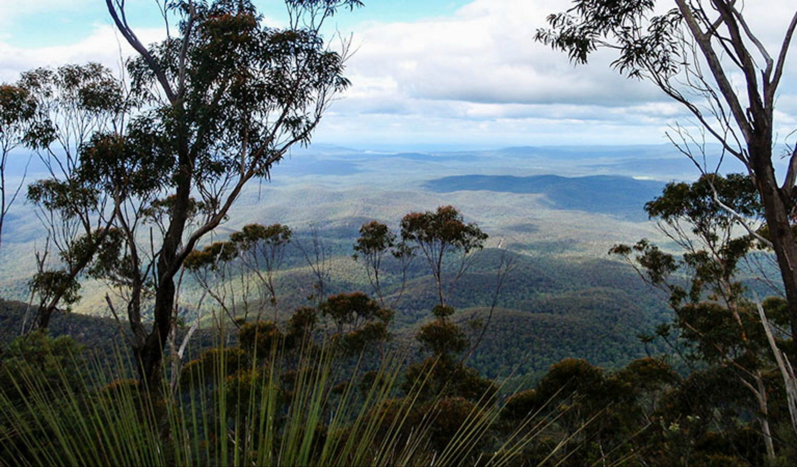 Towamba NSW SA Accommodation