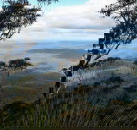 Mount Imlay National Park - SA Accommodation