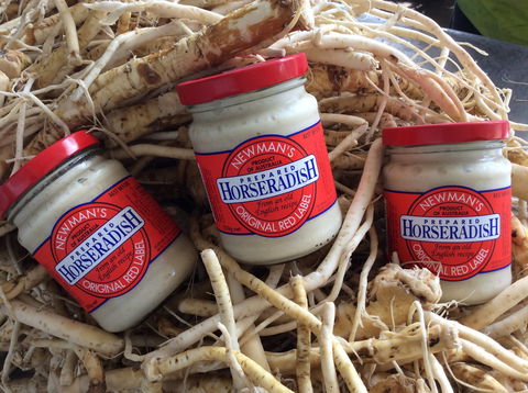 Newman's Horseradish Farm And Rusticana Wines - SA Accommodation 0