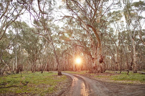 Nyah Vinifera Park - SA Accommodation 1