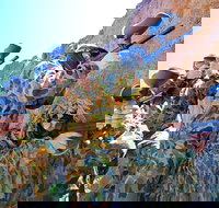 Paintball Albury Wodonga - SA Accommodation