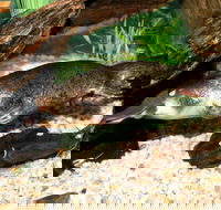 Platypus House - SA Accommodation