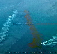 Port Noarlunga Reef Sanctuary Zone - Encounter Marine Park - SA Accommodation