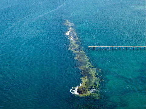 Port Noarlunga Reef Sanctuary Zone - Encounter Marine Park - SA Accommodation 0