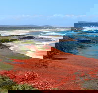 Red Cliff - SA Accommodation