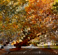 Richmond - SA Accommodation