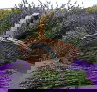 Rustique Lavender Farm - SA Accommodation