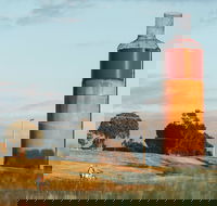 Rutherglen Wine Bottle - SA Accommodation