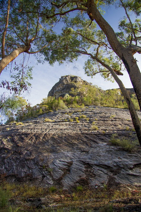 Salvator Rosa, Carnarvon National Park - SA Accommodation 1