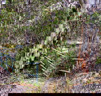 Sawpit Walking Track - SA Accommodation