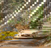 Scotsdale Tourist Drive - SA Accommodation