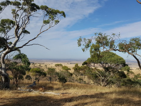 Spring Gully Conservation Park - SA Accommodation 1