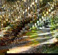 Square Head Track 2 - SA Accommodation