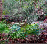 Sugar Creek Picnic Area - SA Accommodation