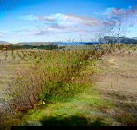 Tarago Truffles - SA Accommodation