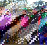 The Saddle Camp - SA Accommodation