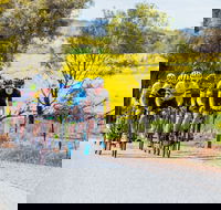 The Heron's Highway - Avon River Cycle Trail - SA Accommodation