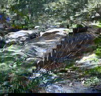 Towarri National Park - SA Accommodation